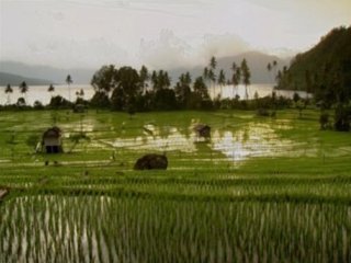 CAMPO- 04